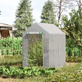 Walk-in Greenhouse (Color: as picture)